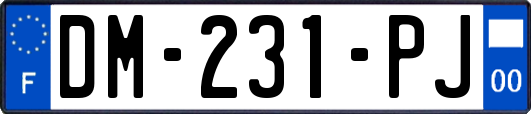 DM-231-PJ
