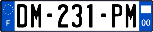 DM-231-PM