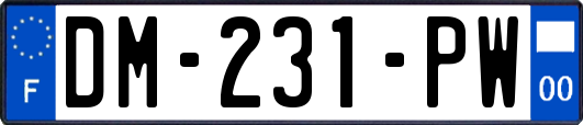 DM-231-PW