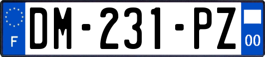 DM-231-PZ