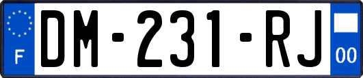 DM-231-RJ