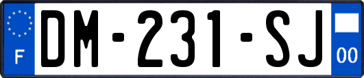 DM-231-SJ