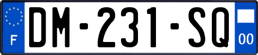 DM-231-SQ