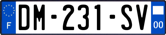 DM-231-SV