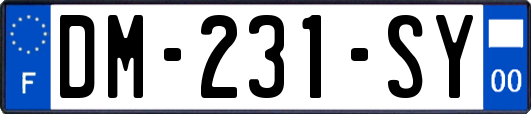 DM-231-SY