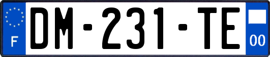 DM-231-TE