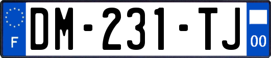 DM-231-TJ
