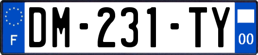 DM-231-TY