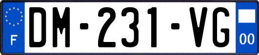 DM-231-VG