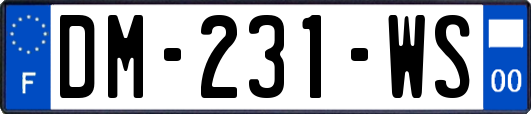 DM-231-WS