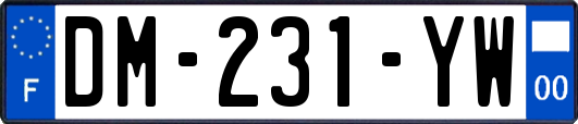 DM-231-YW