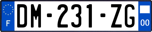 DM-231-ZG