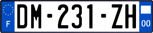 DM-231-ZH