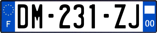 DM-231-ZJ