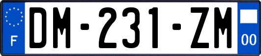 DM-231-ZM