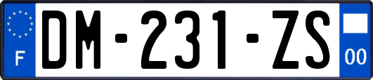 DM-231-ZS