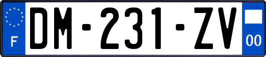 DM-231-ZV