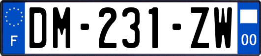 DM-231-ZW