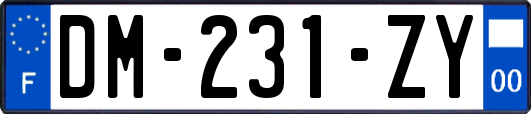 DM-231-ZY