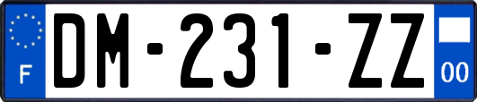 DM-231-ZZ