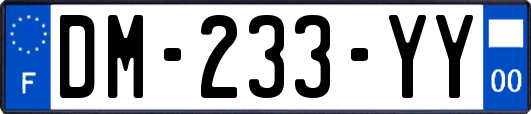 DM-233-YY