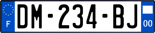 DM-234-BJ