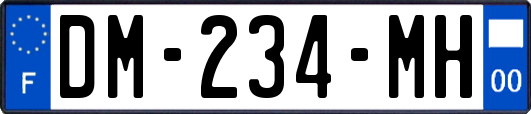 DM-234-MH