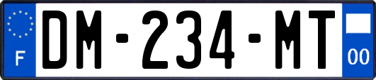 DM-234-MT