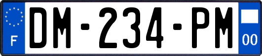 DM-234-PM