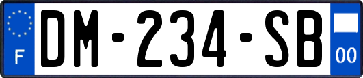 DM-234-SB