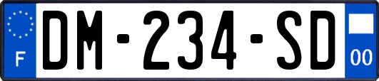 DM-234-SD