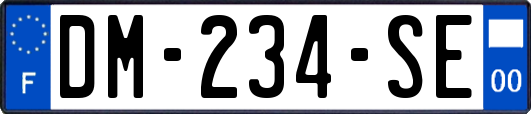 DM-234-SE
