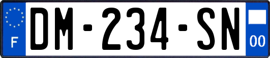DM-234-SN