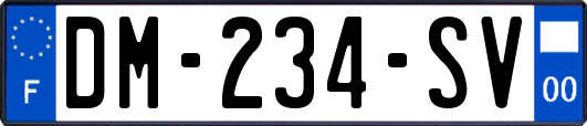 DM-234-SV