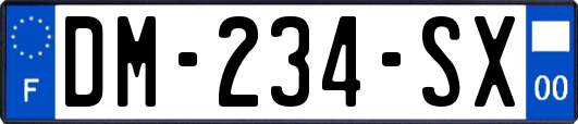 DM-234-SX