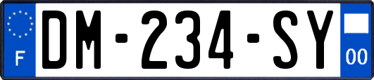 DM-234-SY