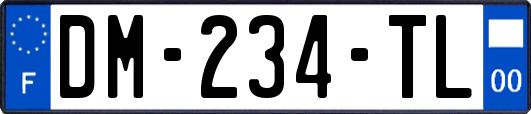 DM-234-TL