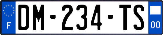 DM-234-TS