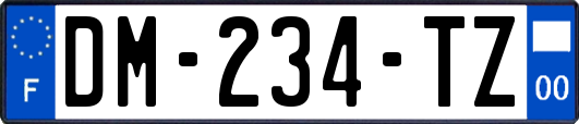 DM-234-TZ