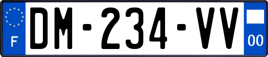 DM-234-VV
