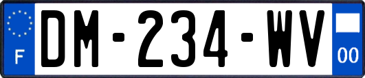 DM-234-WV