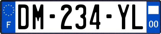 DM-234-YL