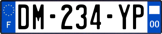 DM-234-YP