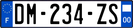 DM-234-ZS