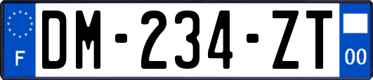 DM-234-ZT