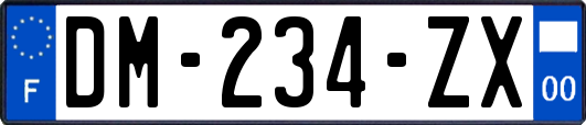 DM-234-ZX