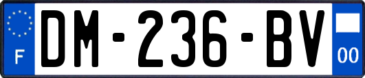 DM-236-BV