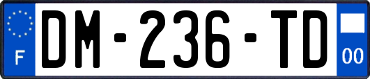 DM-236-TD
