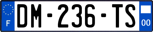 DM-236-TS