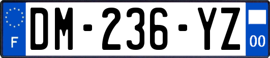 DM-236-YZ